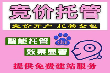案例解读：SEM托管服务优势